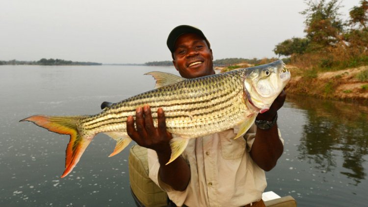 Kariba one of Zimbabwe's premier tourist destinations