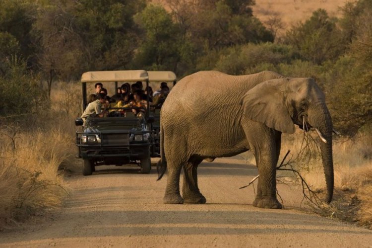 Game touring in Kariba