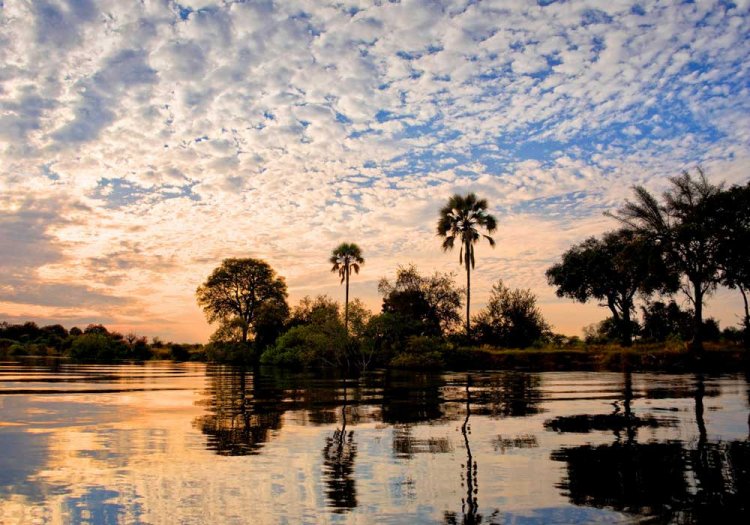 Venturing through Zambezi National Park, Zimbabwe