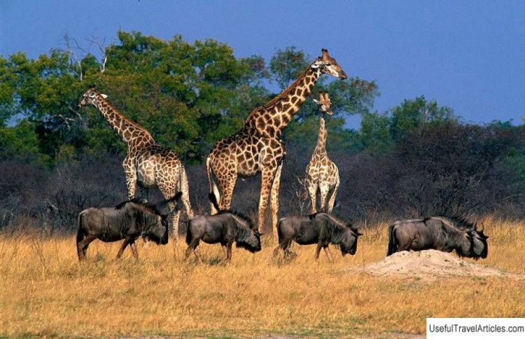 A visit to Hwange National Park, Zimbabwe