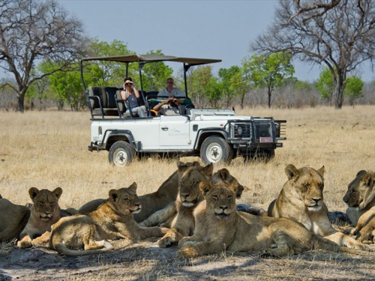 All fun and games at Davison's Camp, Hwange, Zimbabwe