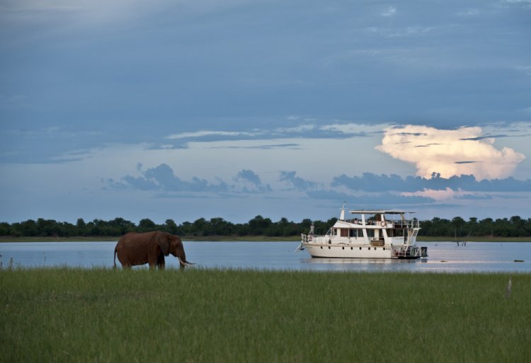 5 Animals you are likely to see when you Visit Kariba