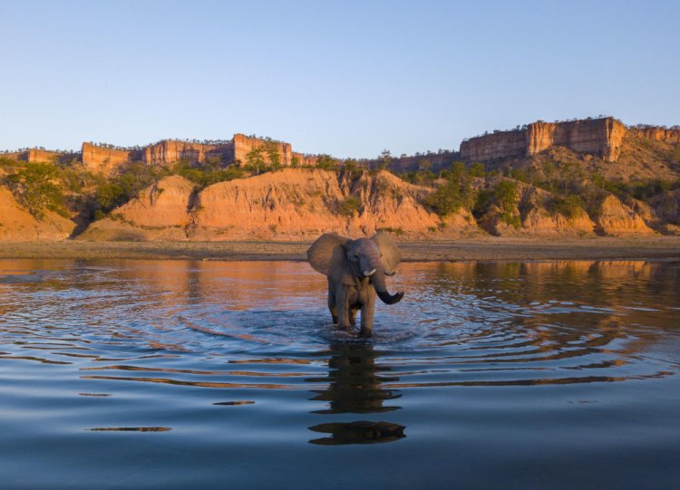 Gonarezhou National Park, home to a multitude of elephants